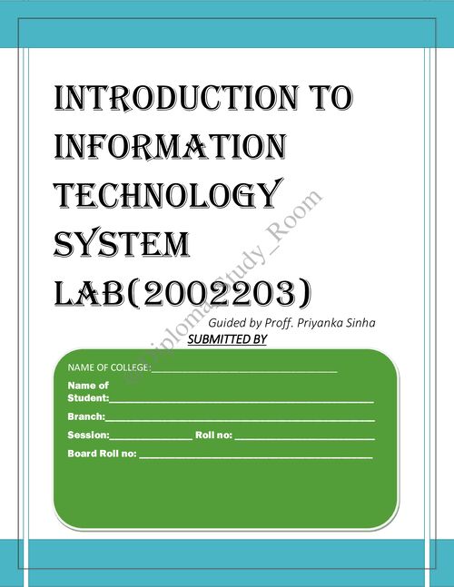 Preview of It system lab pratical work - Common